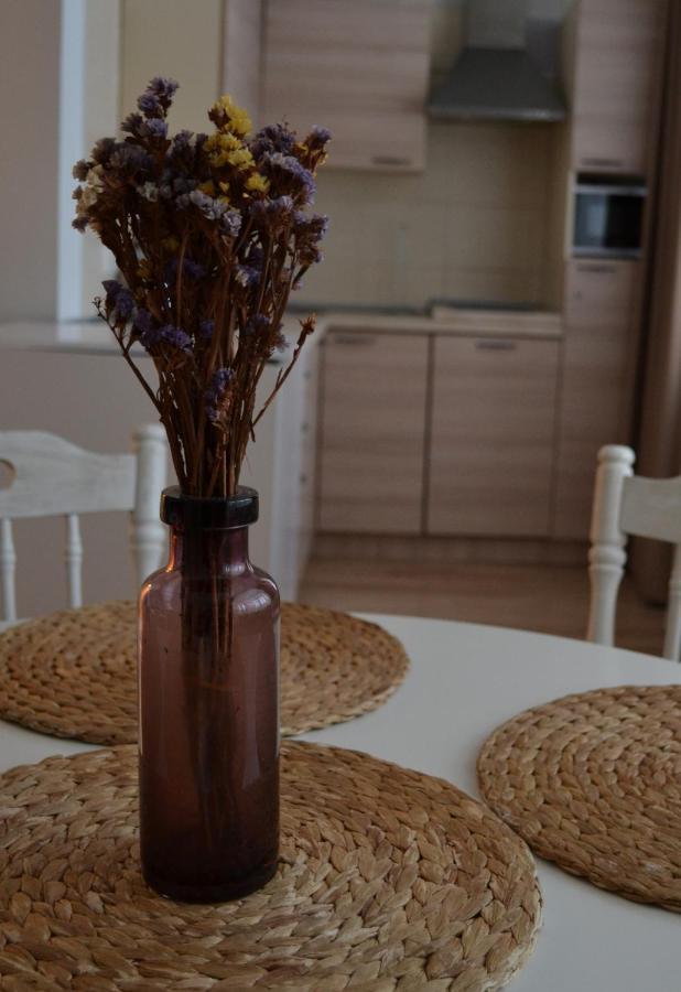 Ferienwohnung Saulys Druskininkai Exterior foto
